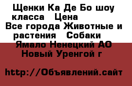 Щенки Ка Де Бо шоу класса › Цена ­ 60 000 - Все города Животные и растения » Собаки   . Ямало-Ненецкий АО,Новый Уренгой г.